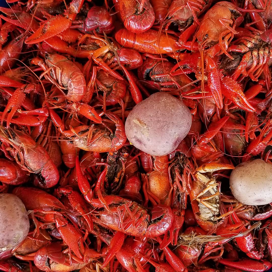 Upcoming Events In Baton Rouge April 26 May 3 2019 