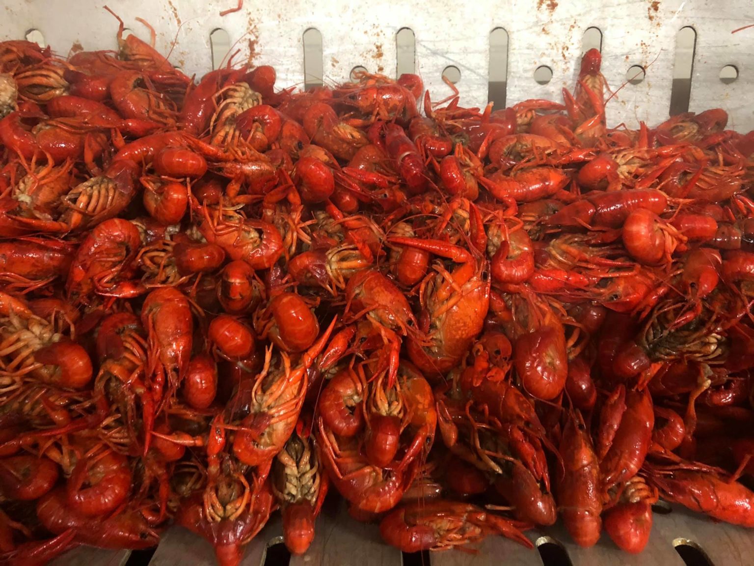 Best Boiled Crawfish in Baton Rouge Red Stick Life